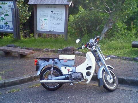 0512seibi4.jpg