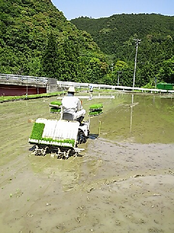 0525taue1.jpg