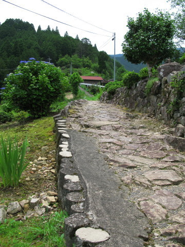 0627tu8.JPG