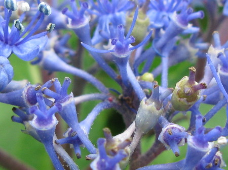 0710test41.jpg