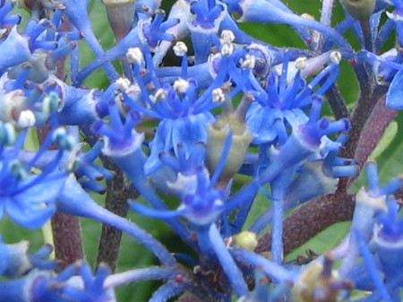 0710test42.jpg