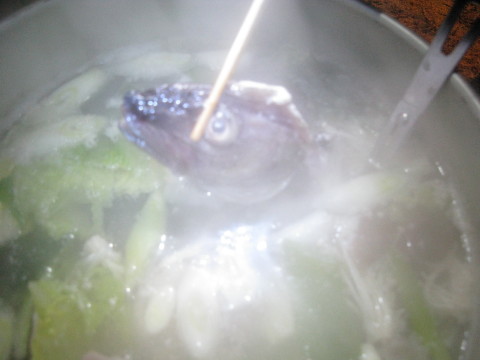 1215kasagi10.JPG